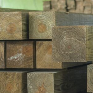 Coluna Pinus